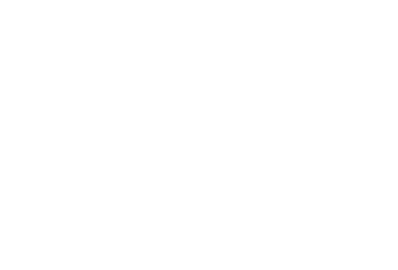Logo Anwälte Schärding Dr. Bruckner, Mag. Weiß